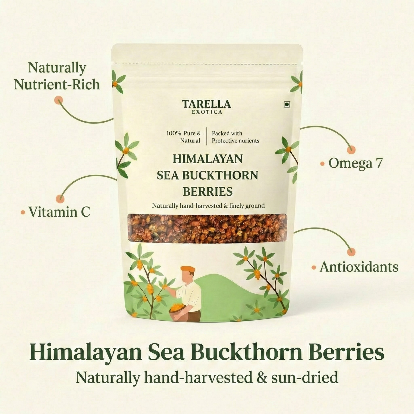 Premium Sea Buckthorn Berries (Dried Seabuckthorn) | Tarella Exotica