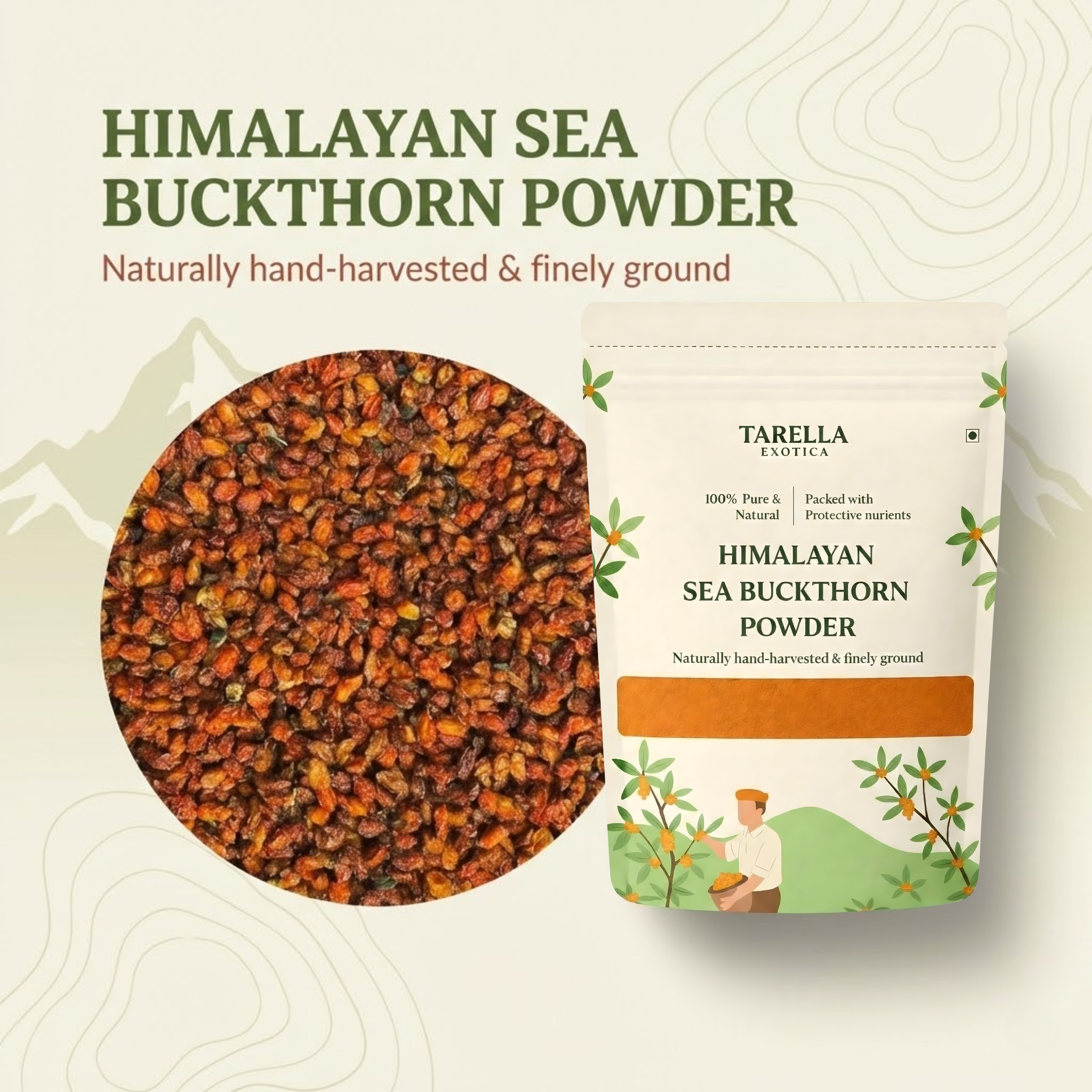 Sea Buckthorn  Powder - 100gms | Tarella Exotica