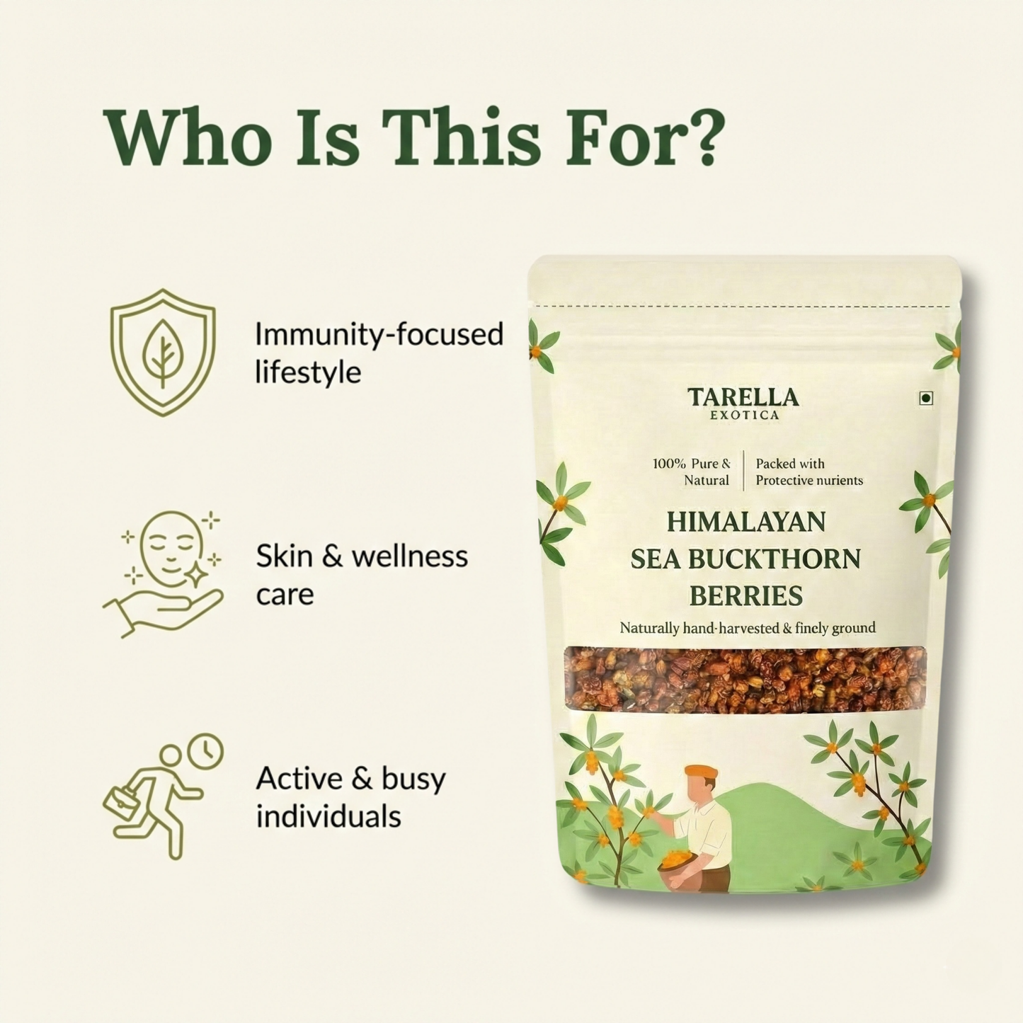 Premium Sea Buckthorn Berries (Dried Seabuckthorn) | Tarella Exotica