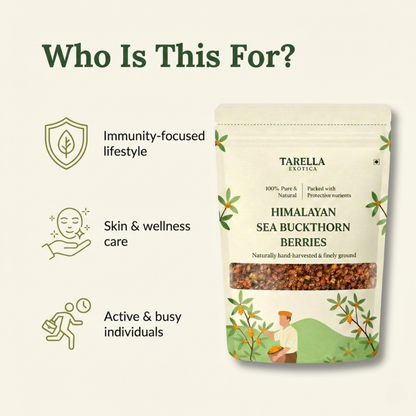 Premium Sea Buckthorn Berries (Dried Seabuckthorn) | Tarella Exotica