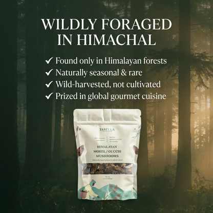 Morel Mushroom | Tarella Exotica