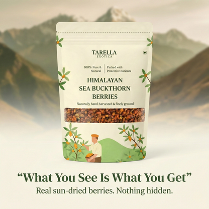 Premium Sea Buckthorn Berries (Dried Seabuckthorn) | Tarella Exotica