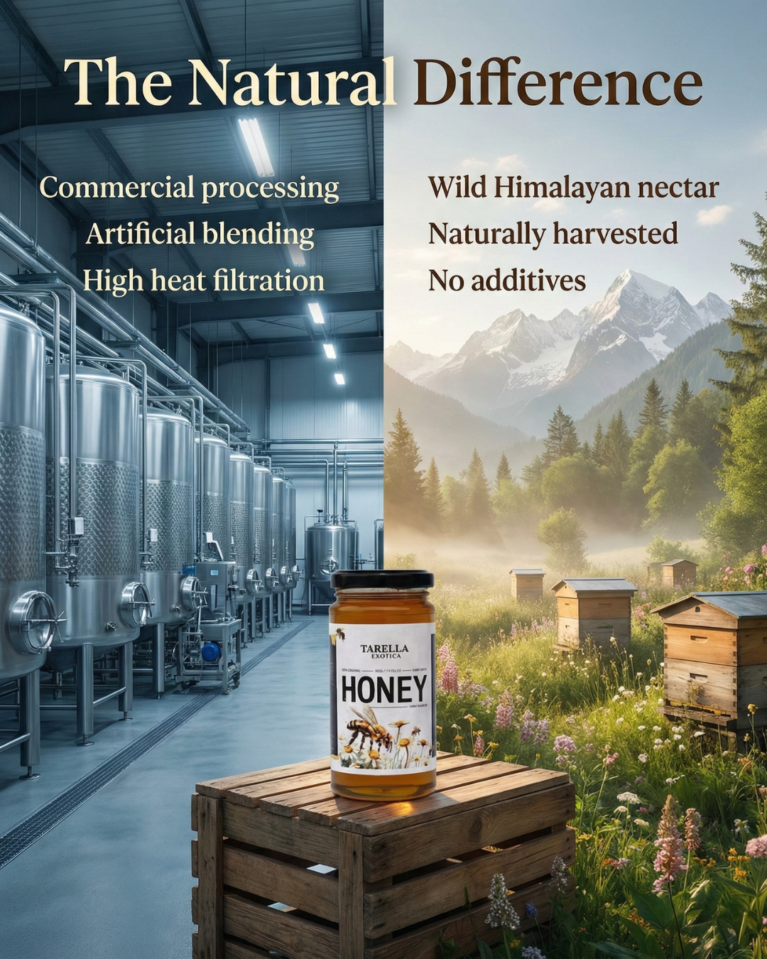 Multi Flora Honey | Tarella Exotica