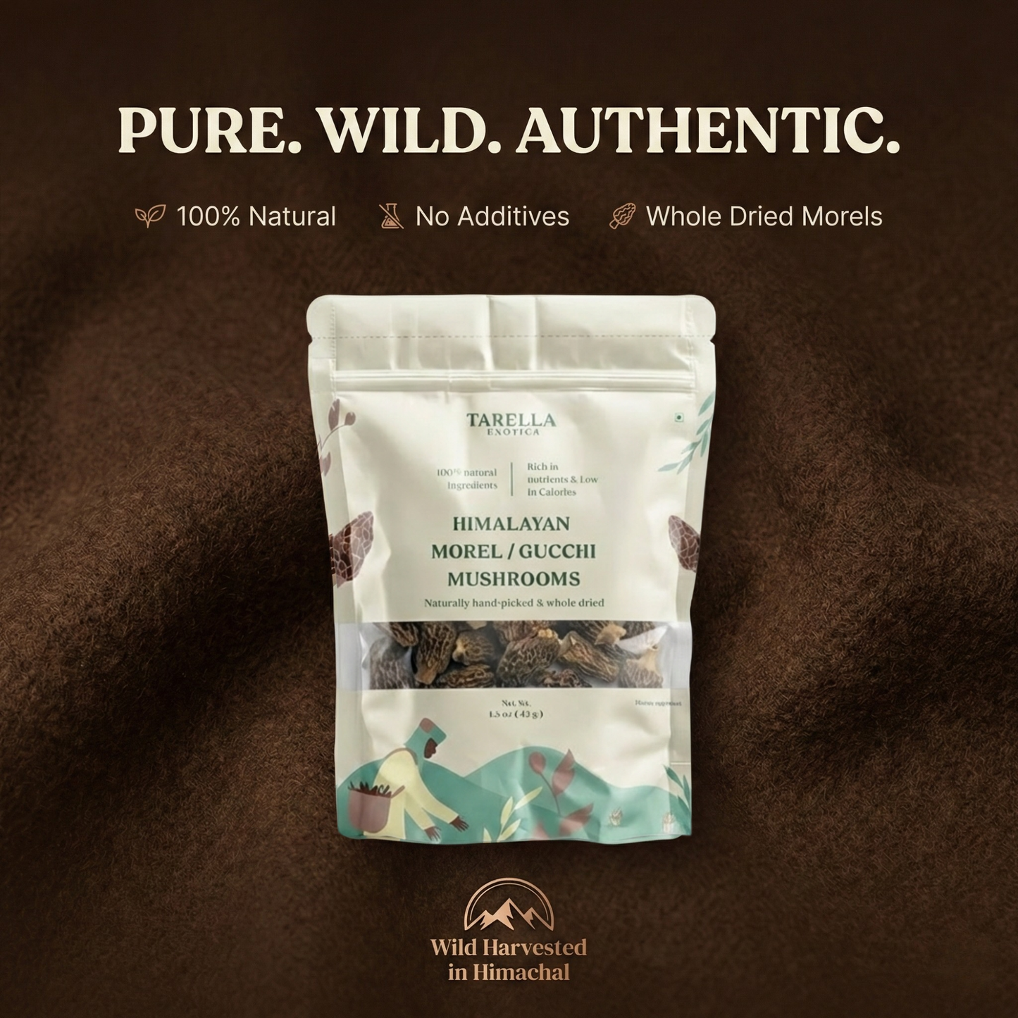 Morel Mushroom | Tarella Exotica