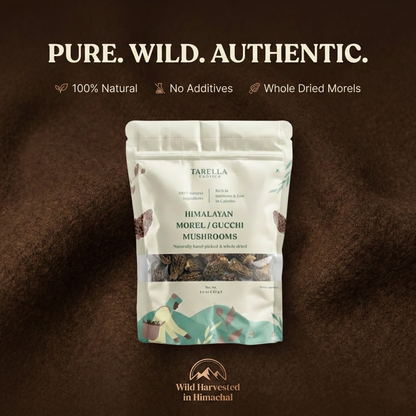 Morel Mushroom | Tarella Exotica