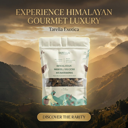 Morel Mushroom | Tarella Exotica