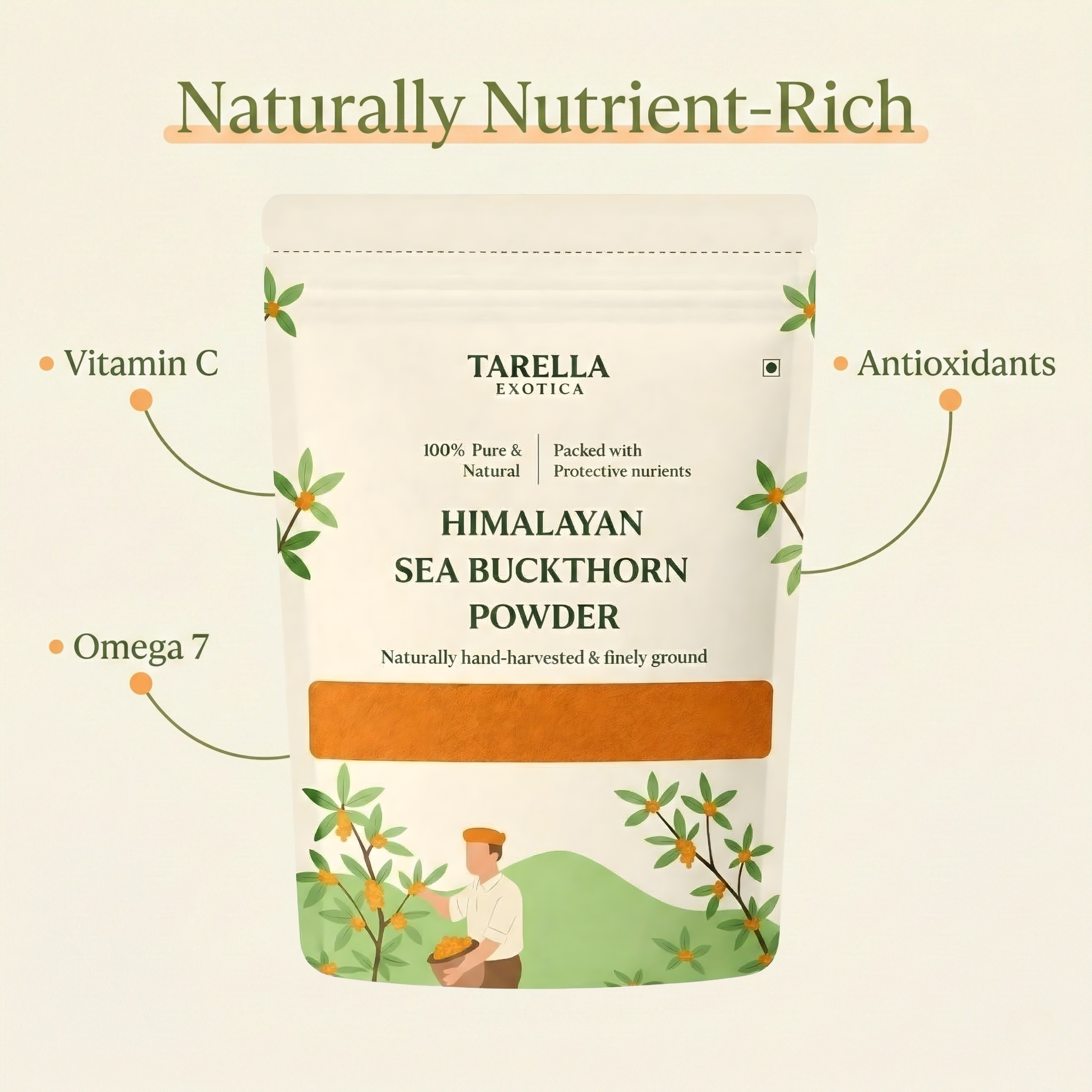 Sea Buckthorn  Powder - 100gms | Tarella Exotica