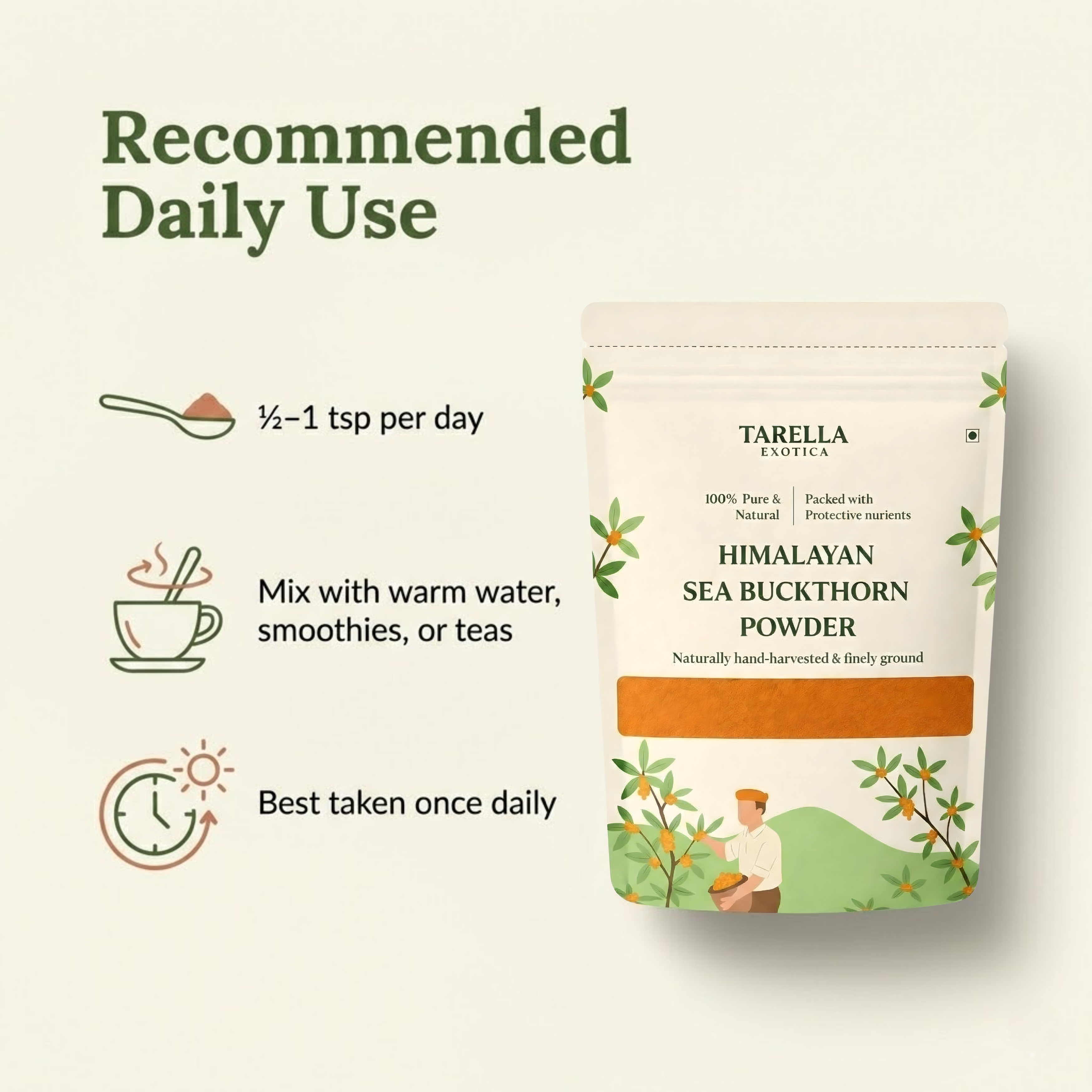 Sea Buckthorn  Powder - 100gms | Tarella Exotica