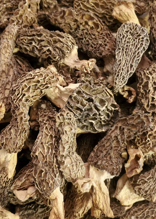 Morel Mushroom | Guchhi | Tarella Exotica | 42G