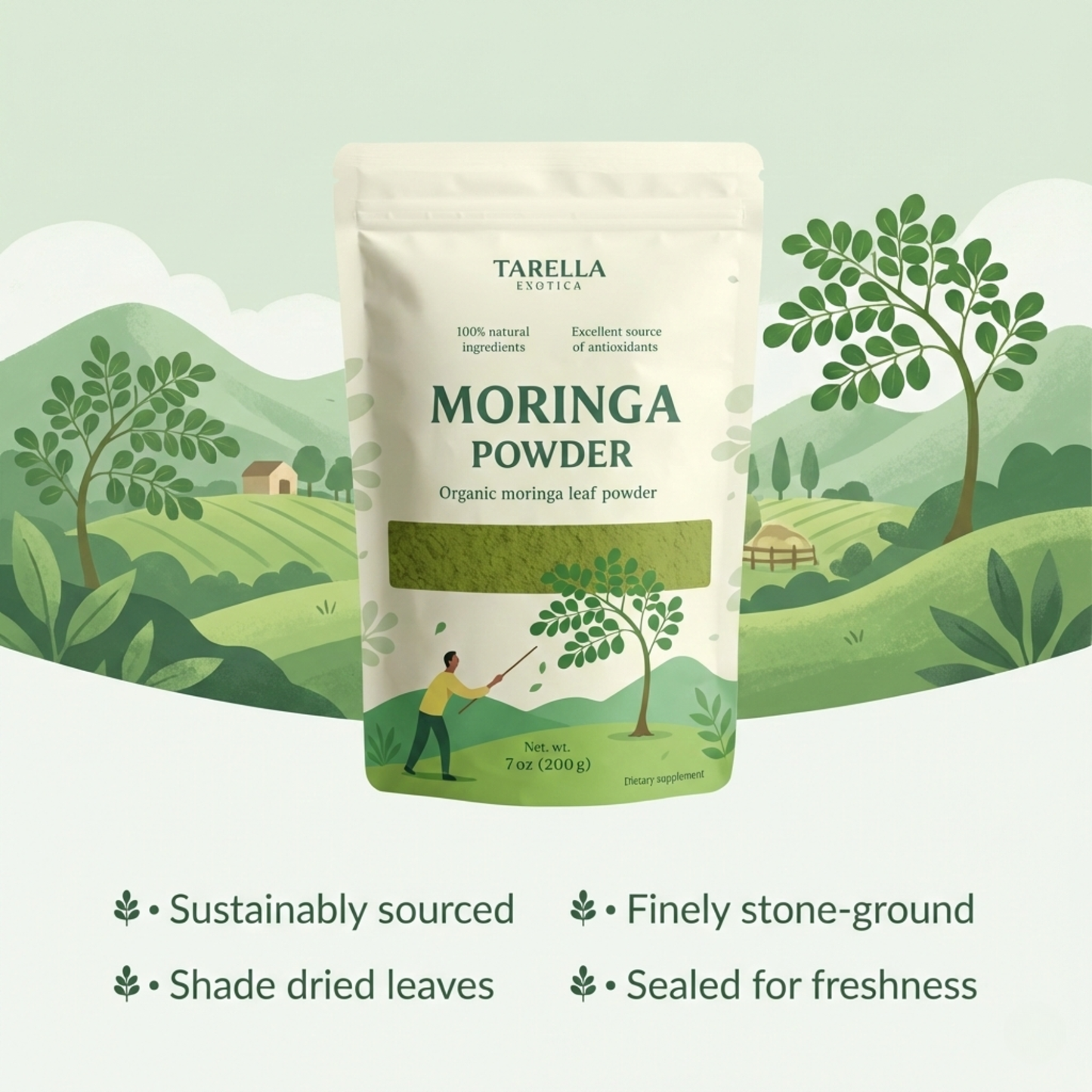 Organic Moringa Powder | Tarella Exotica