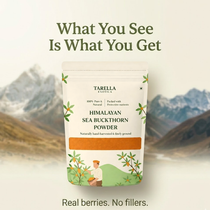 Sea Buckthorn Berry Powder - 100gms | Tarella Exotica
