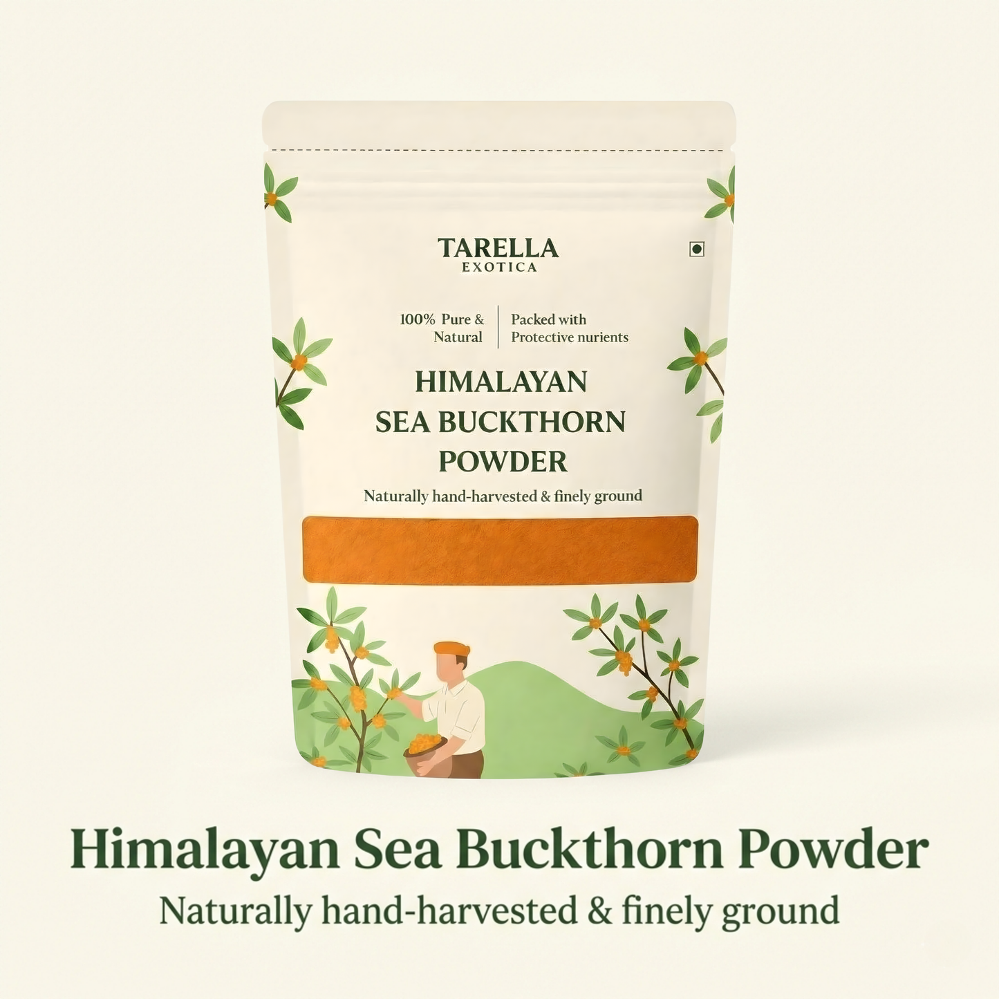 Sea Buckthorn Berry Powder - 100gms | Tarella Exotica