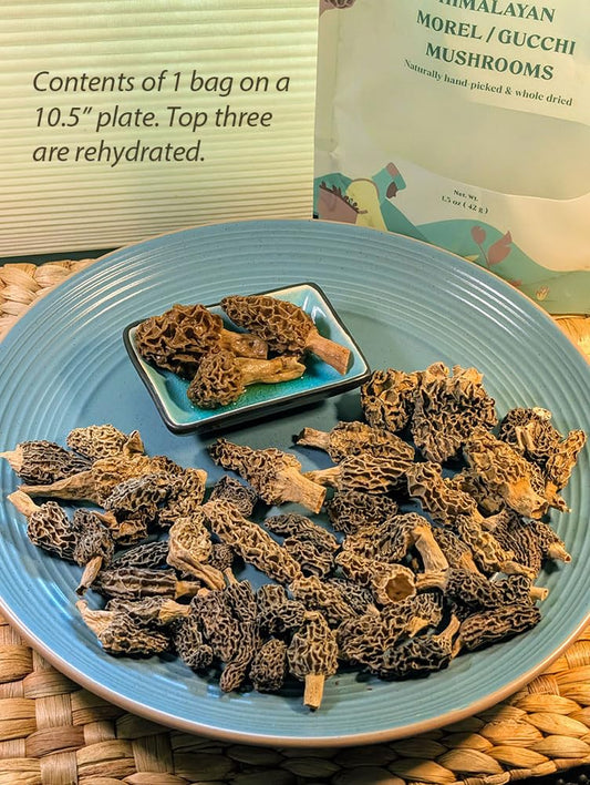 Morel Mushroom | Tarella Exotica