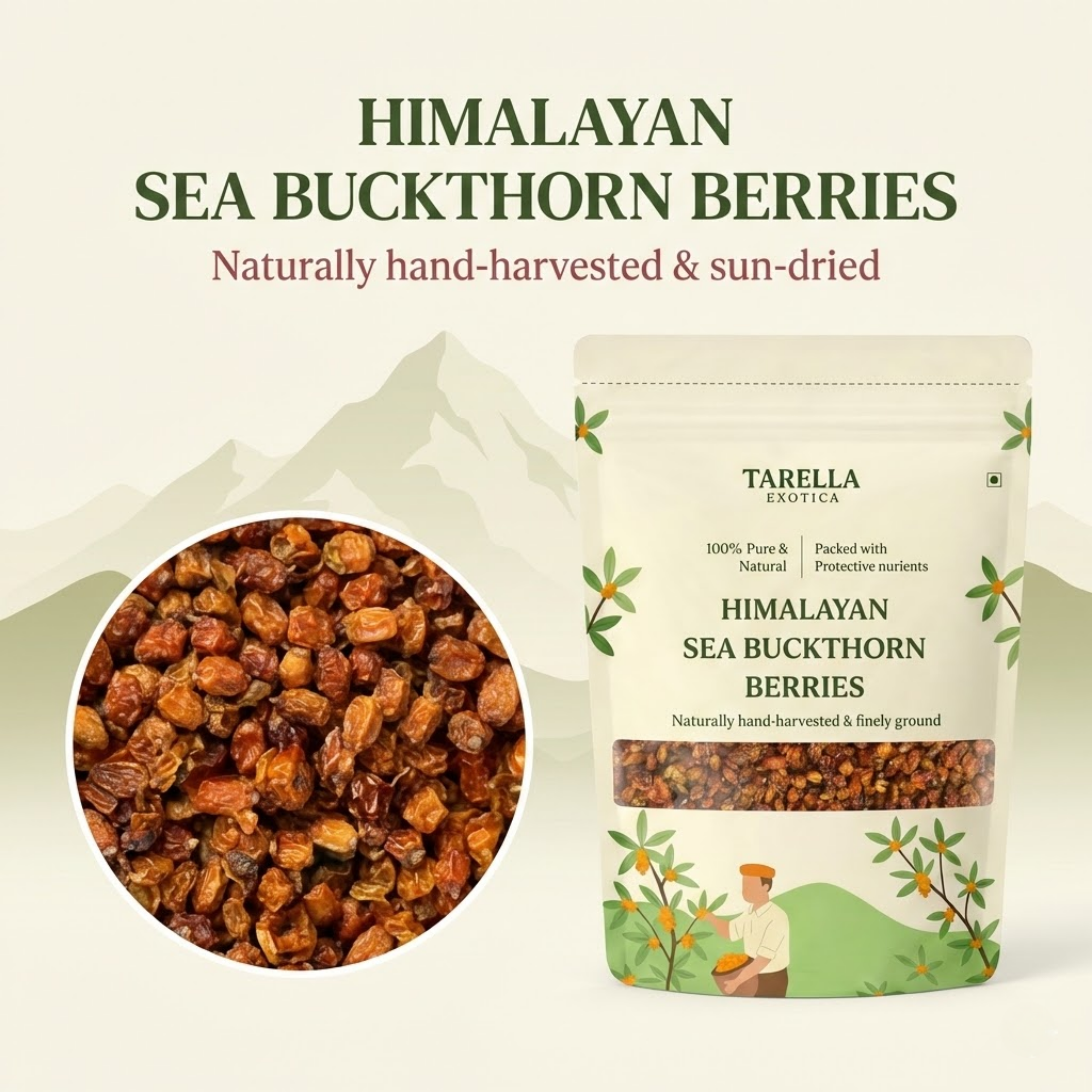 Sea Buckthorn Berries | Tarella Exotica | 100G