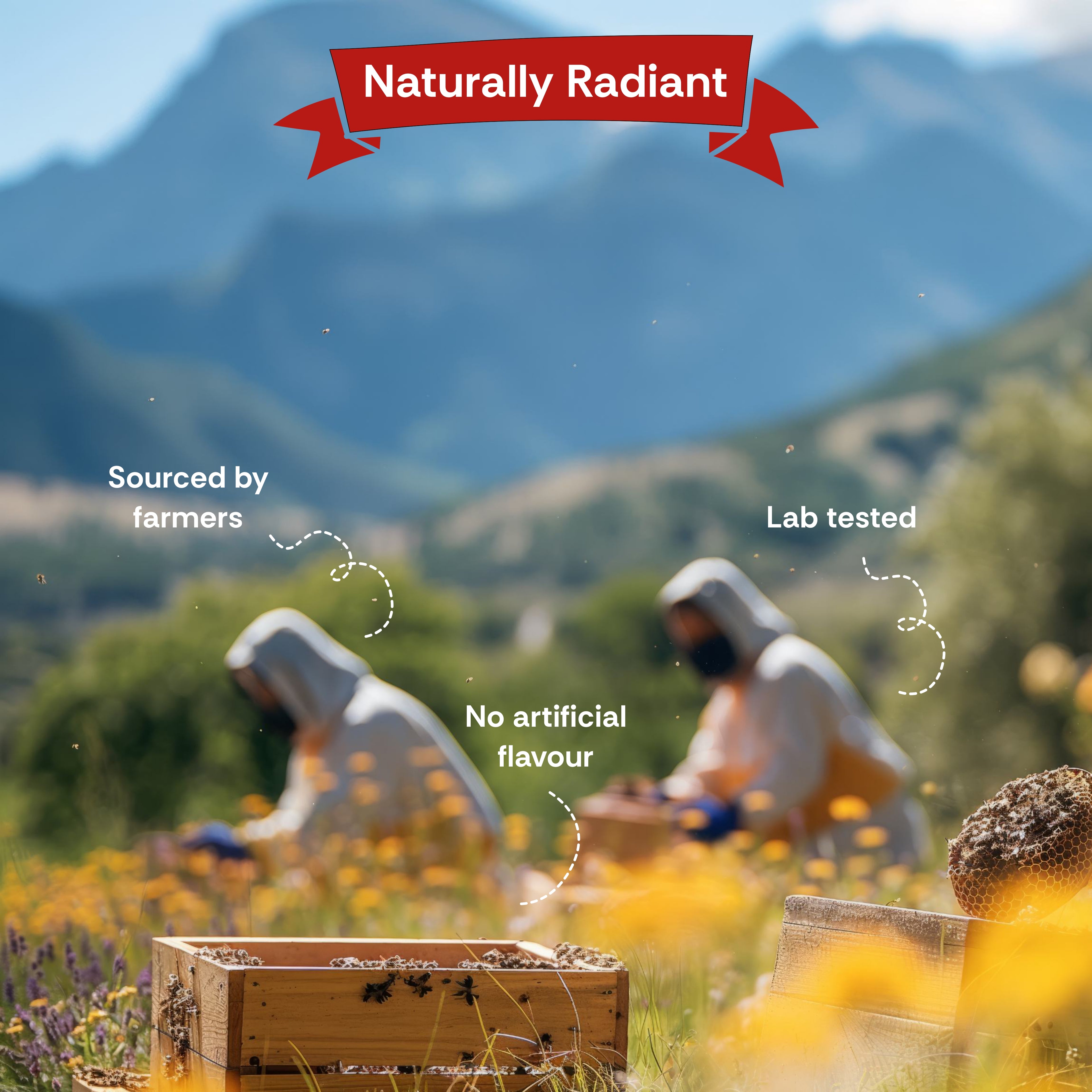 Ber Honey | Farm sourced | Tarella Exotica | 300ML