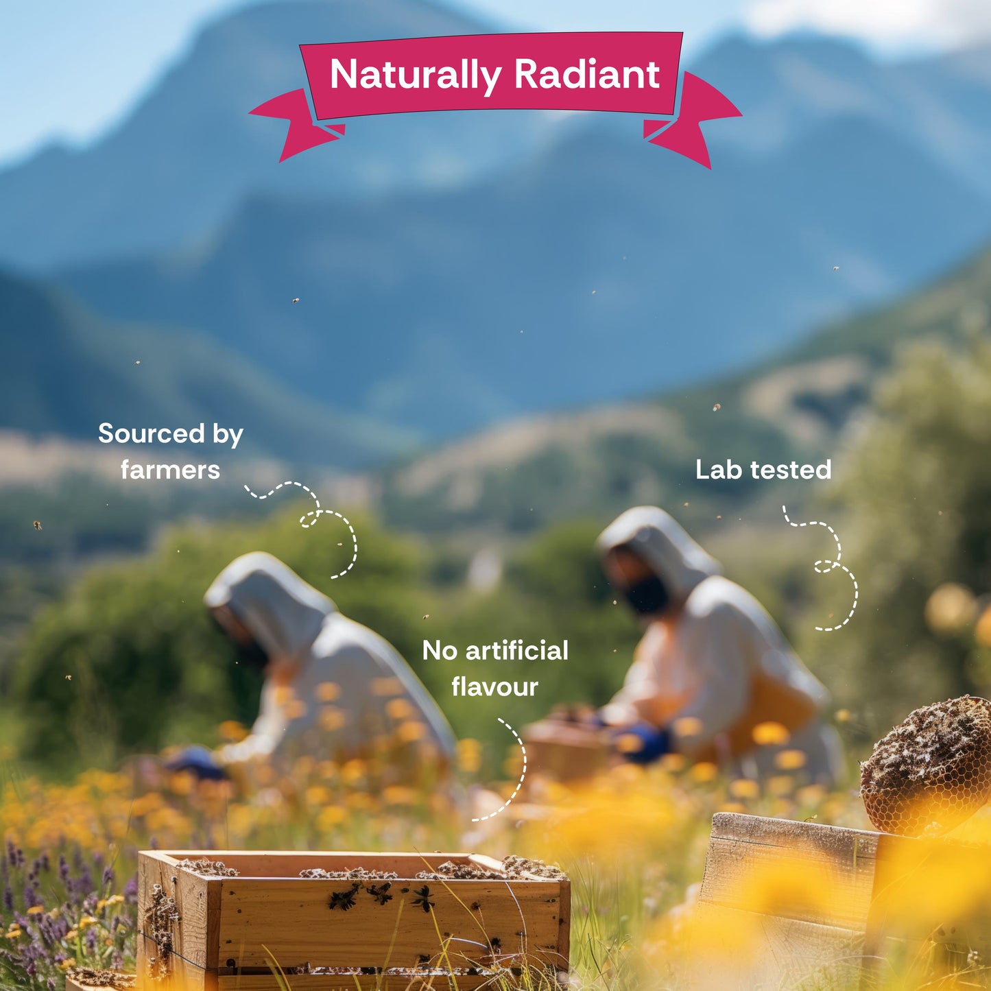 Litchi Honey | Tarella Exotica